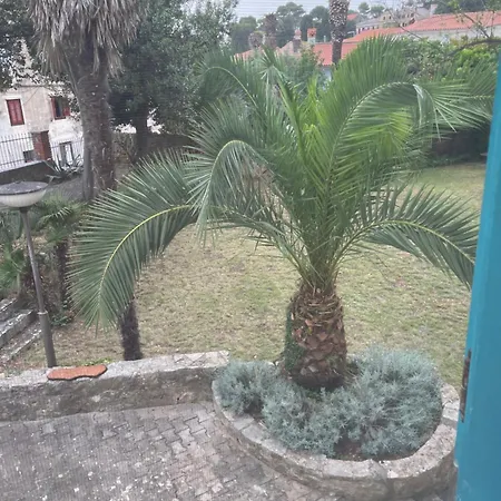 Bigblue House Apartment Veli Losinj Exterior photo