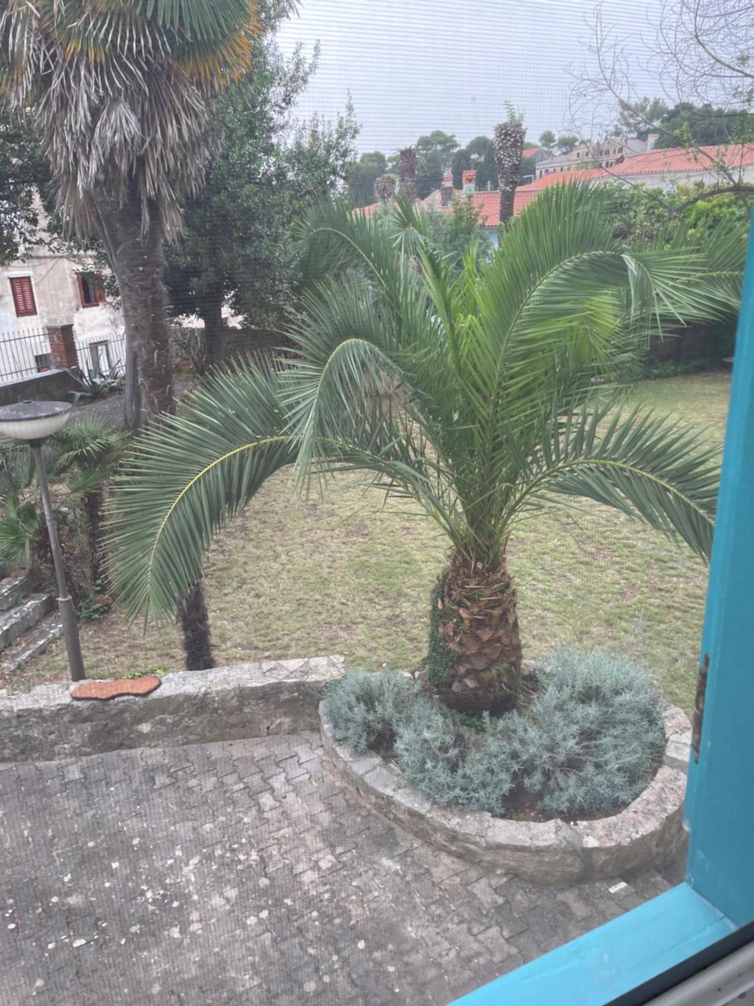 Apartma Bigblue House